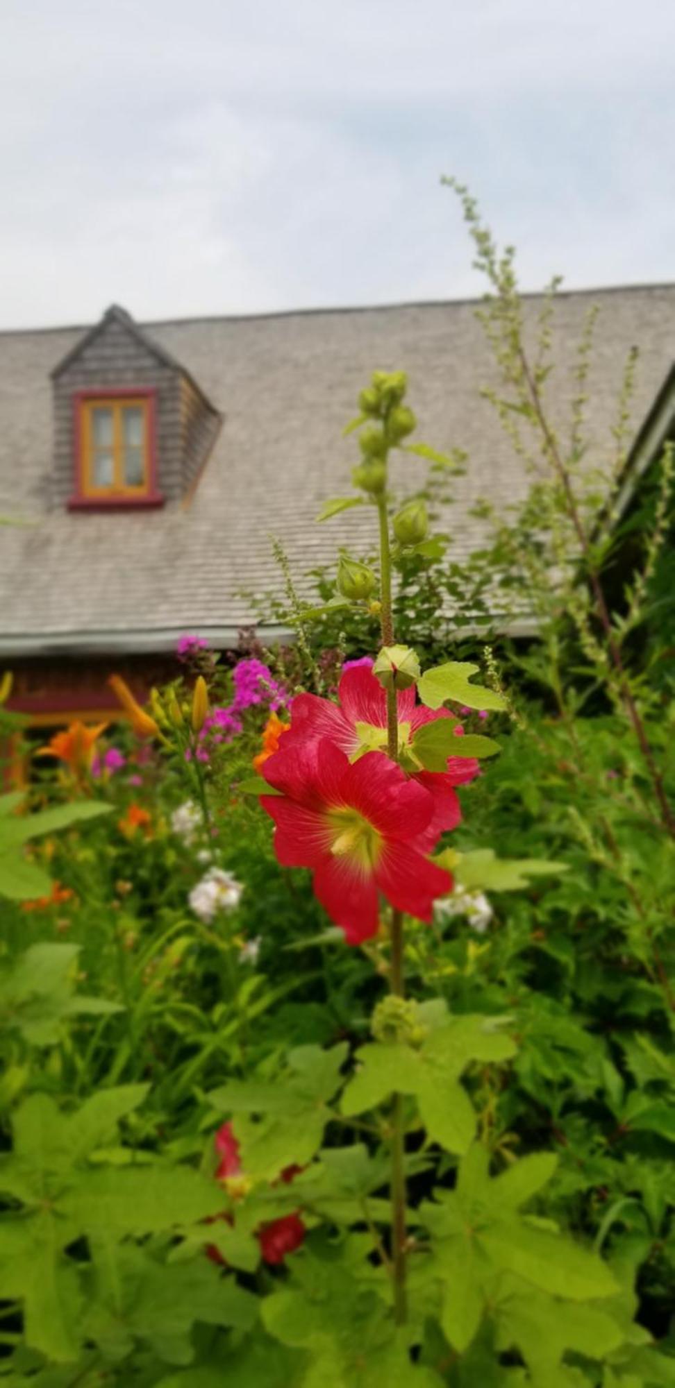Auberge Le P'Tit Bonheur Saint-Laurent-de-l'ile d'Orleans ภายนอก รูปภาพ